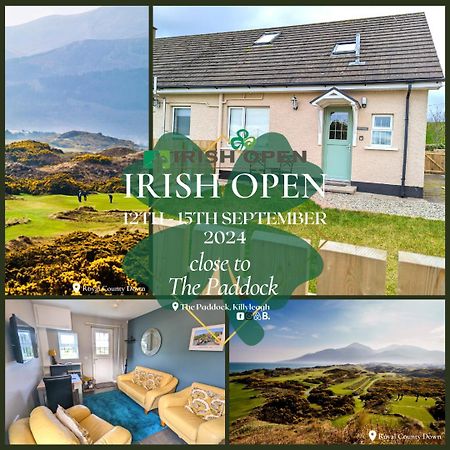 The Paddock Apartment Killyleagh Екстериор снимка