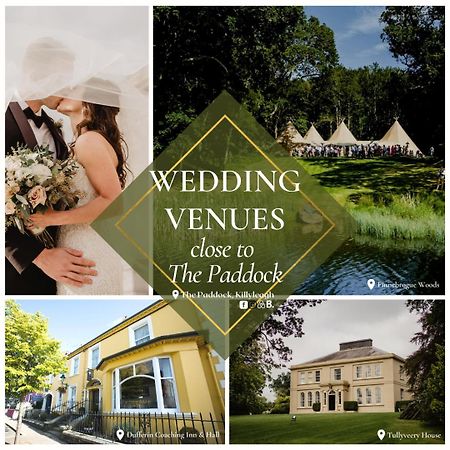 The Paddock Apartment Killyleagh Екстериор снимка