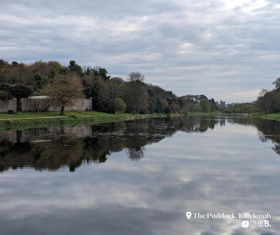 The Paddock Apartment Killyleagh Екстериор снимка