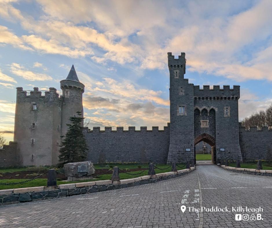 The Paddock Apartment Killyleagh Екстериор снимка