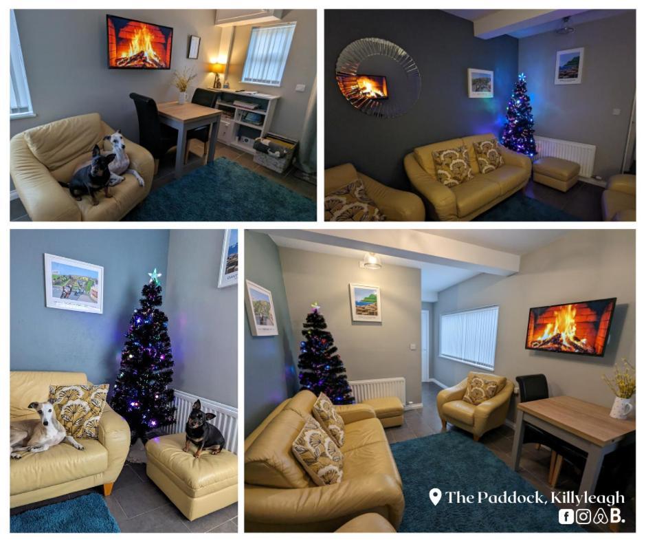 The Paddock Apartment Killyleagh Екстериор снимка