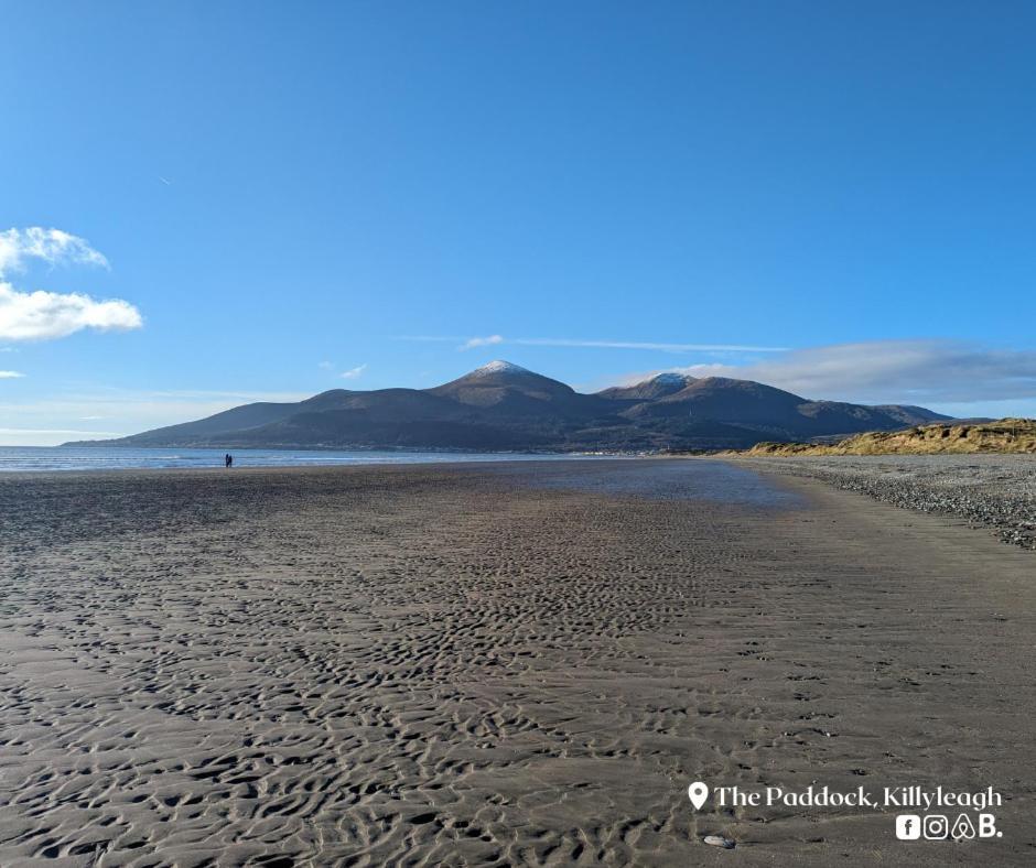 The Paddock Apartment Killyleagh Екстериор снимка