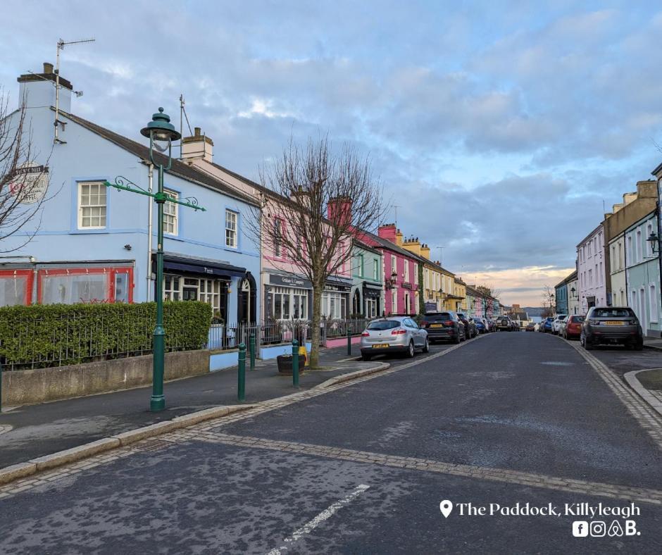The Paddock Apartment Killyleagh Екстериор снимка